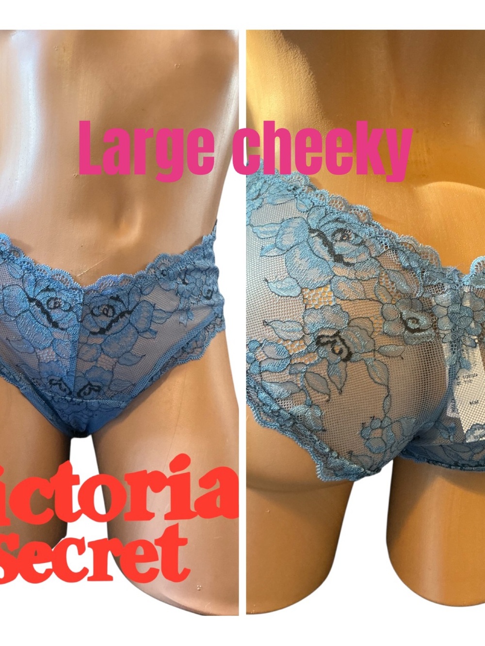 Victoria's Secret Light Blue Lace Large Cheeky Panty